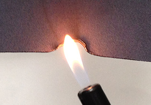 Flame Retardant (FR)